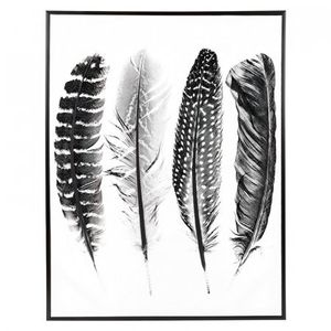 Cuadro 155130 Pluma 60X80Cm F1