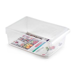 Organizador Plasticforte 19X10X29Cm Translucido Plastico 14004