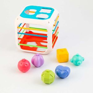 Cubo Didactico Maypa Para Bebe 832-46-B152633